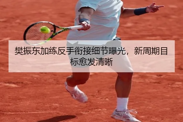 樊振东加练反手衔接细节曝光，新周期目标愈发清晰 | BOYUSPORT